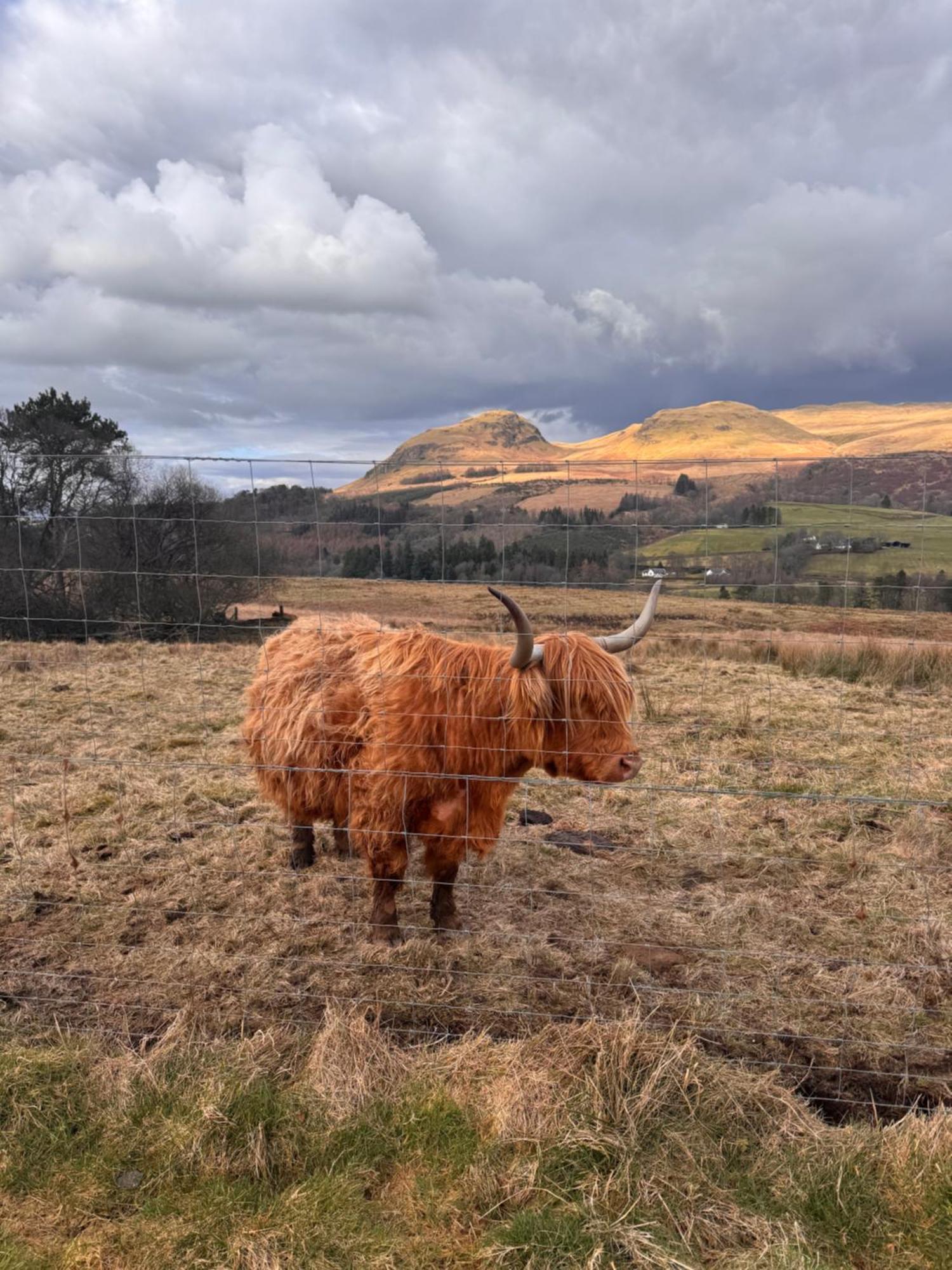 The West Highland Way Campsite & Campervan Accommodation Milngavie Exterior photo